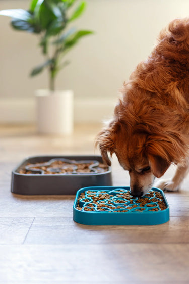 Messy Mutts Interactive Square Slow Feeder